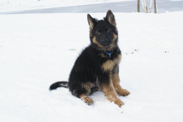Fotos/2010vervolgTaylor/Cliff/DSC02729[1].jpg